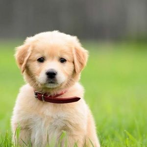 Meet your Posher, Swathi